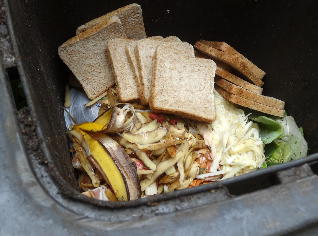 food in a bin