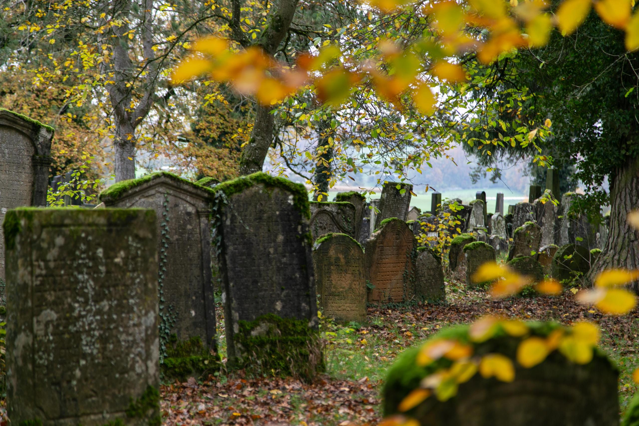 Friedhof Übersicht