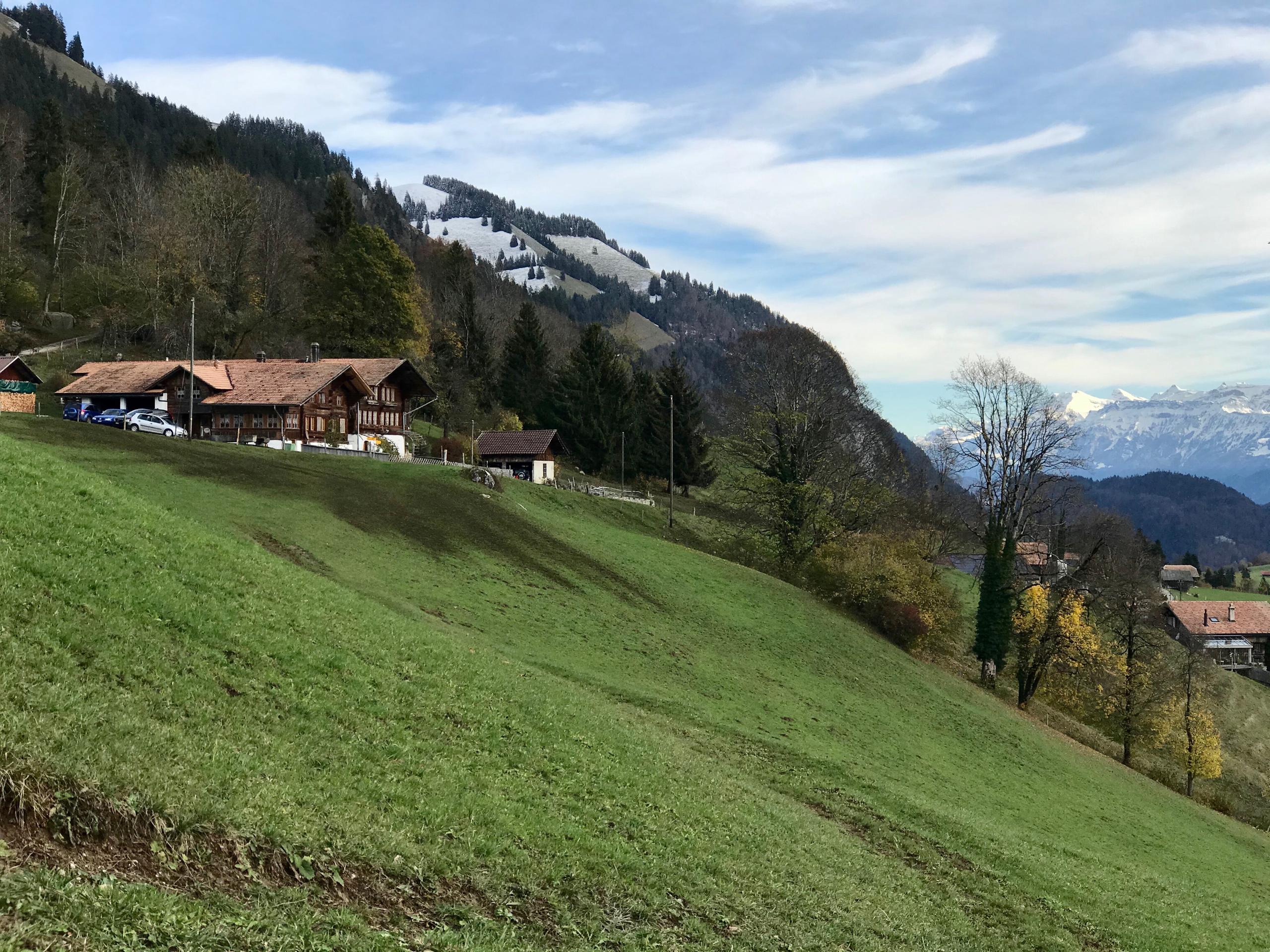 Green slopes covered in dark manure