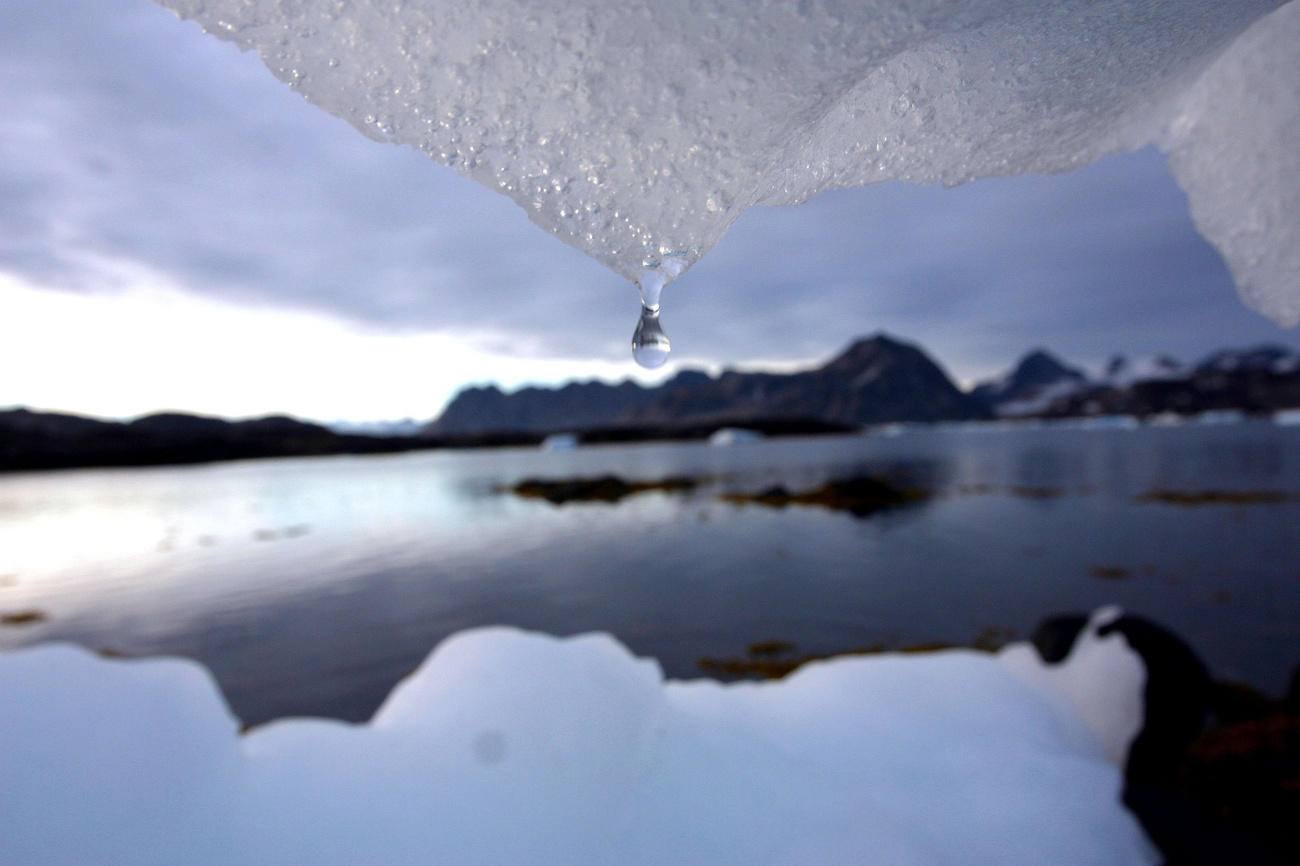 climate change in artic