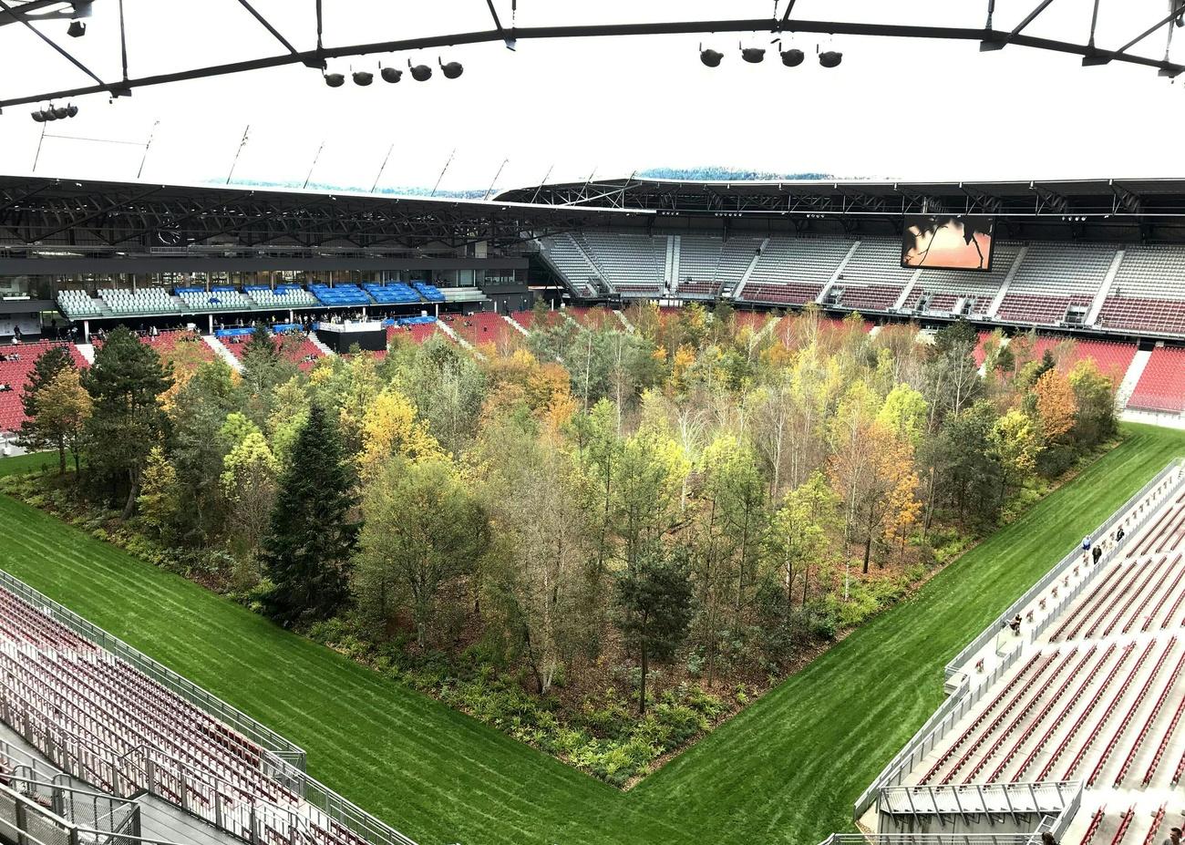 300 Bäume im Klagenfurter Fussballstadion