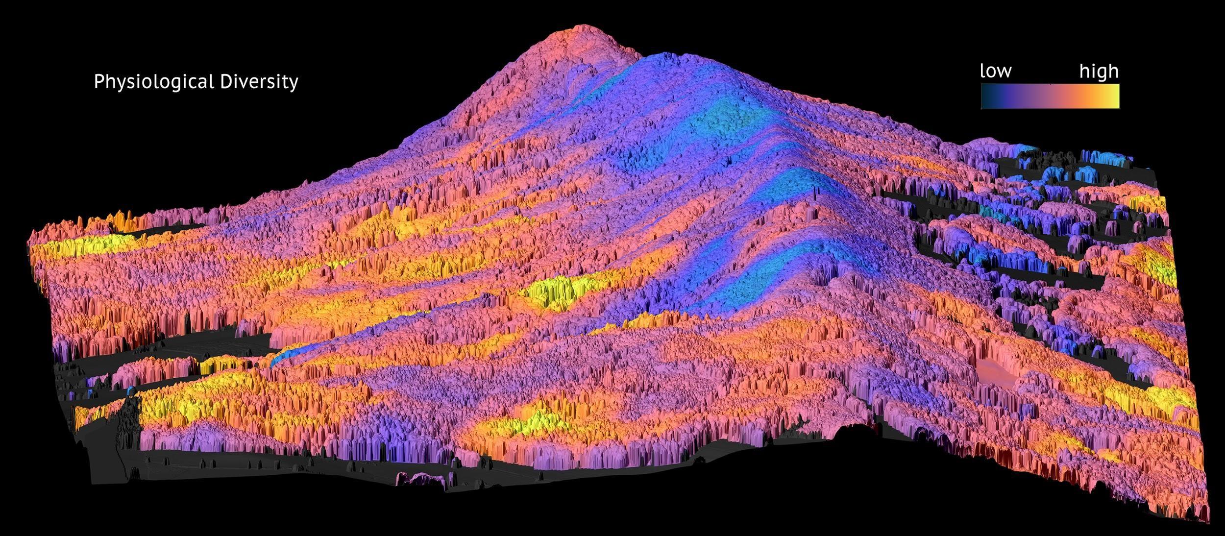 A map of forest diversity made with an airborne imaging spectrometer