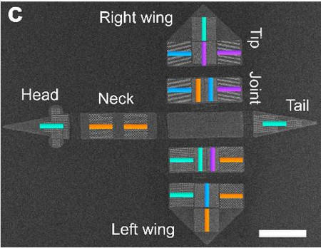 The scanning electron microscope image shows the bird-like construct with arrangements of nanoscale magnets.