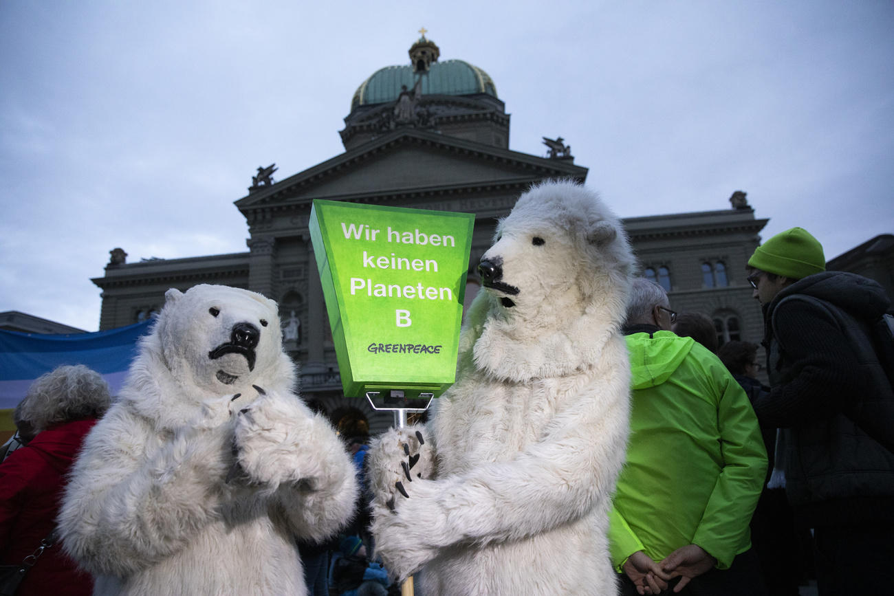 Campaigners in polar bear outfits outside the Federal Palace in Bern