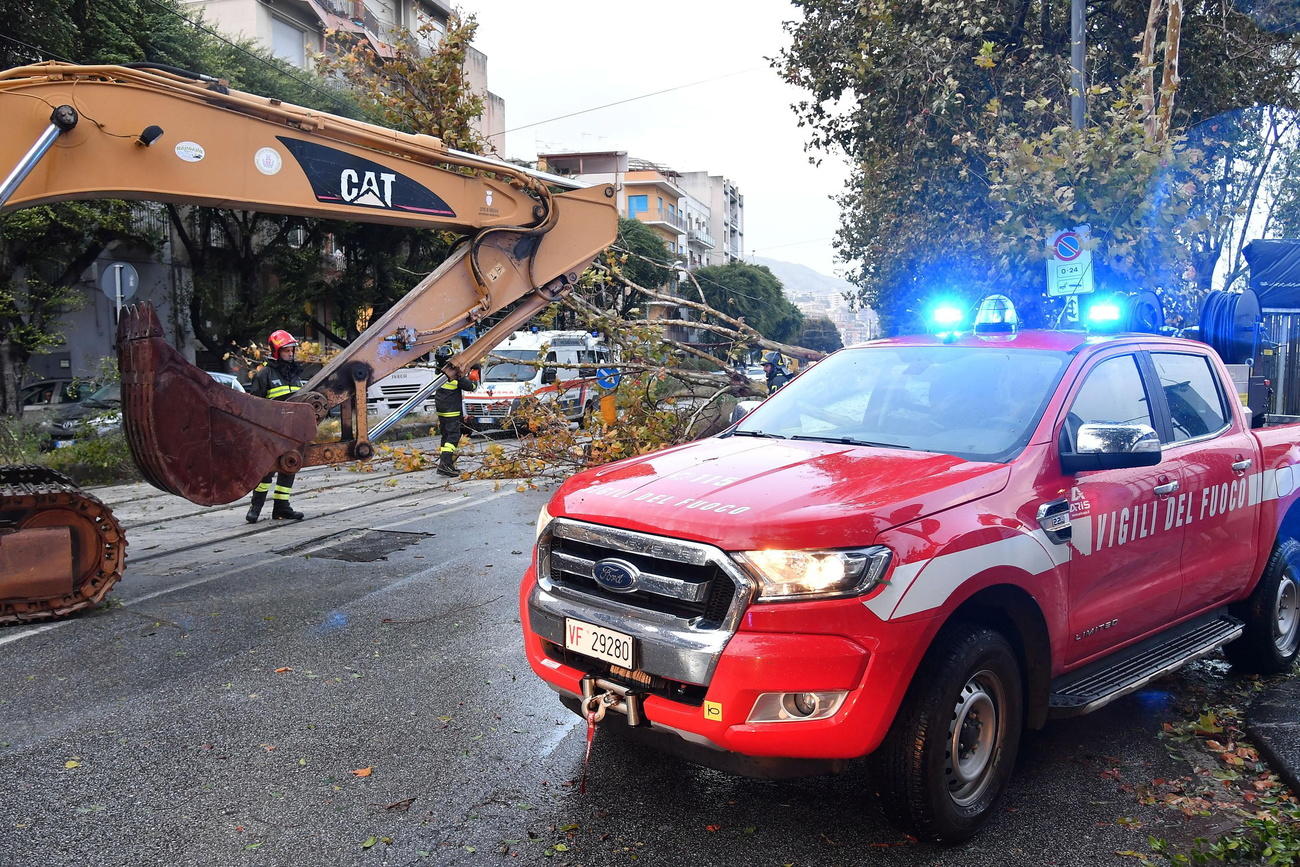 Strada con alberi sradicati sull asfalto; sulla sx un escavatrice, sulla dx un veicolo dei Vigili del Fuoco