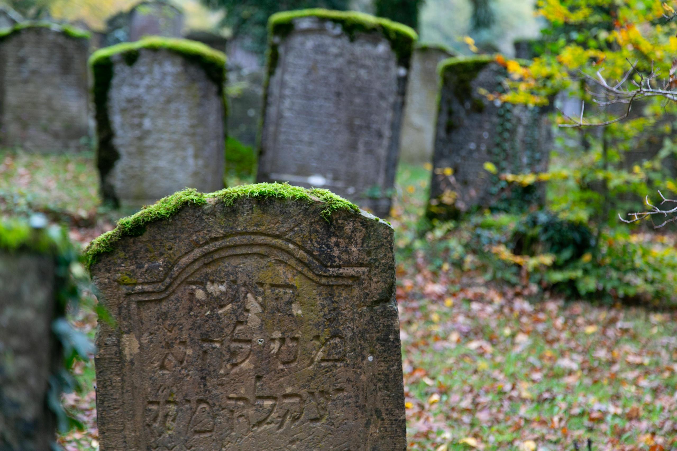 Mit Moos bewachsener Stein