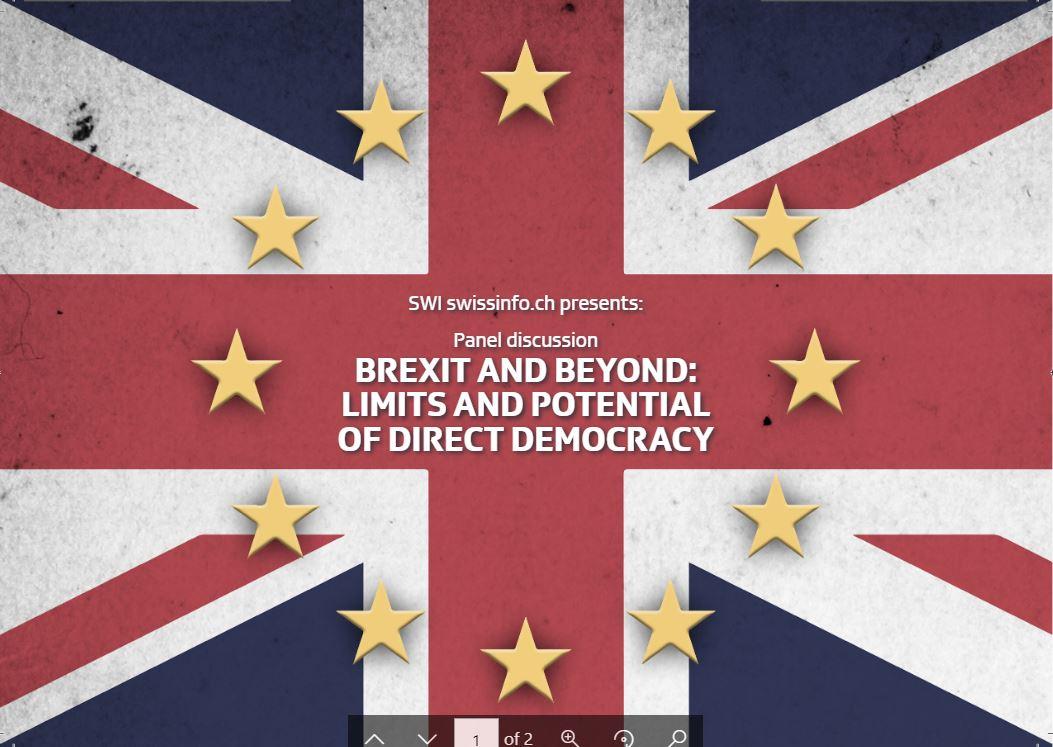 Brexit panel image
