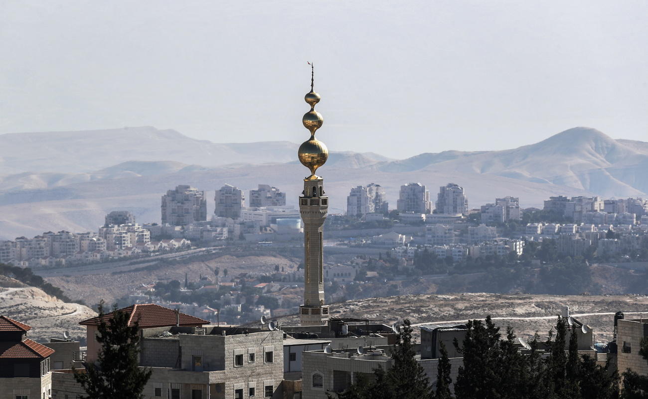 Panorama moschea in primo piano