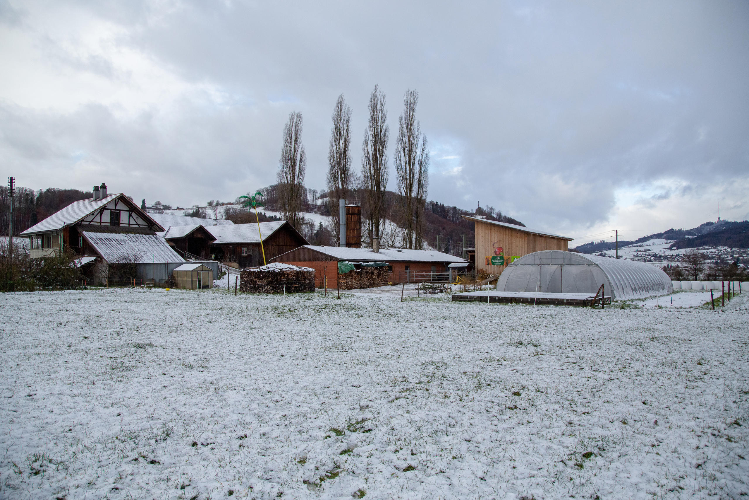 Radiesli Farm in Worb nr. Bern.