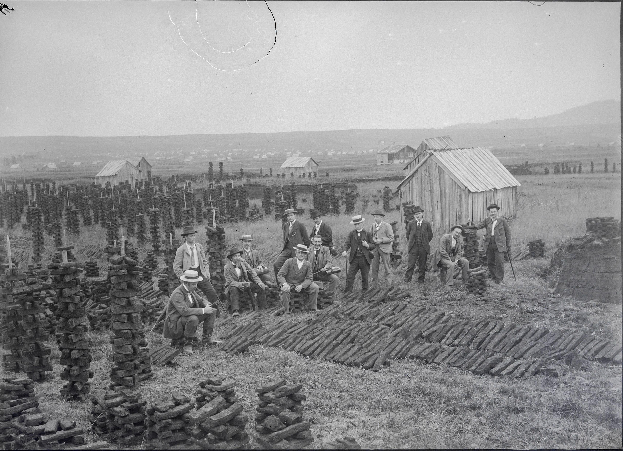 Botanists outside