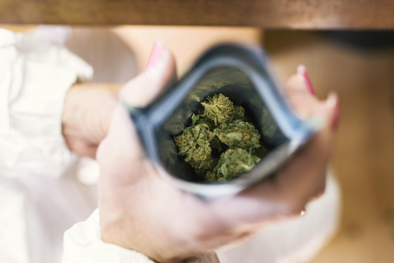 Cannabis