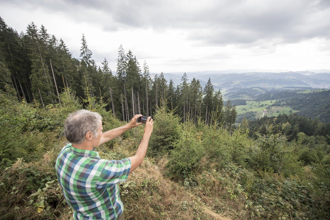 Man takes picture of forest, from hilltop