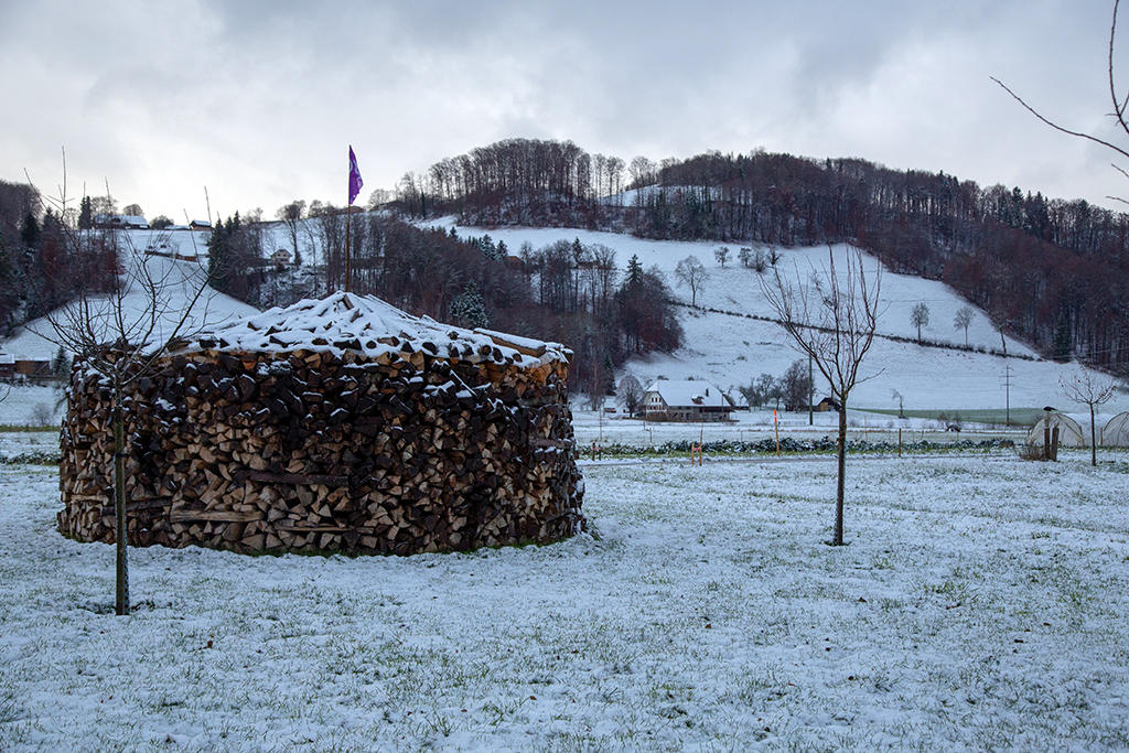 catasta di legna in un paesaggio innevato