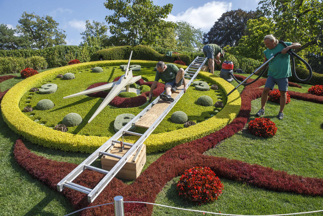 orologio vegetale in un parco