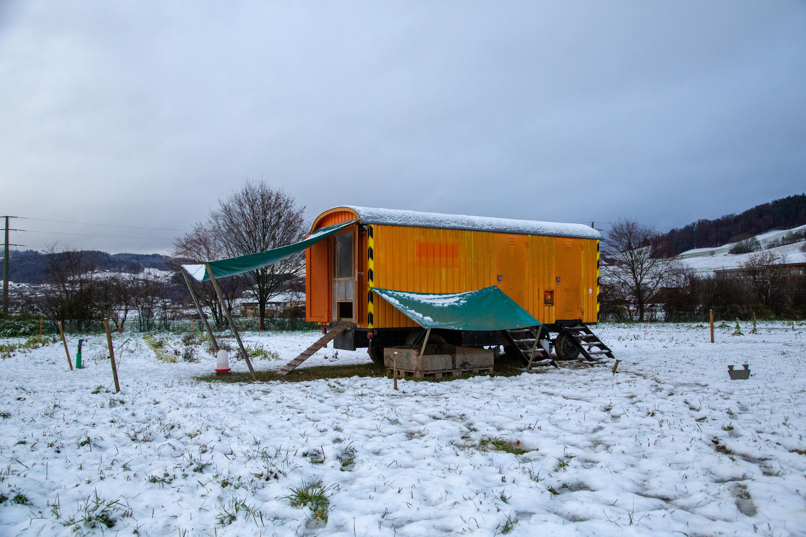 Poulailler mobile posé dans un champ couvert de neige.