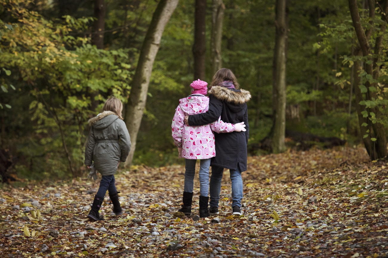 Niñas caminando en un bosque