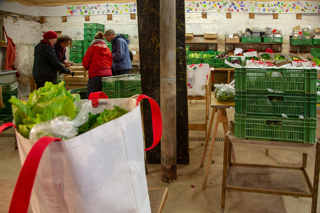 Freiwillige verpacken die Ernte für die Auslieferung.