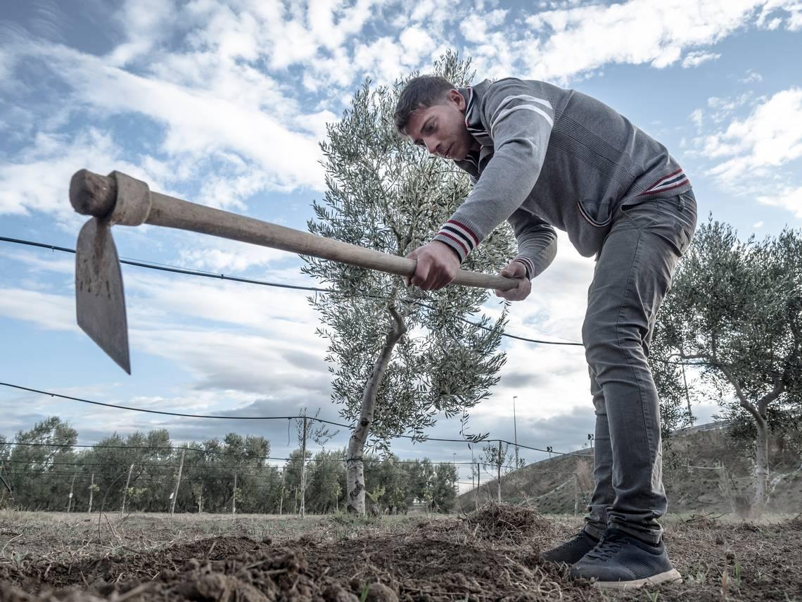 Un membro della cooperativa di recupero di condannati al lavoro.