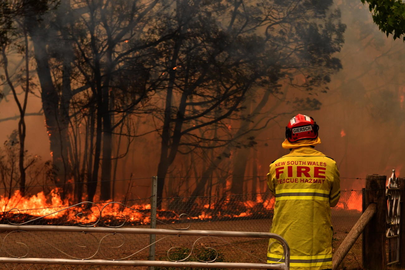 Vigile del fuoco con divisa ignifuga gialla FIRE, di schiena, osserva un incendio in un bosco