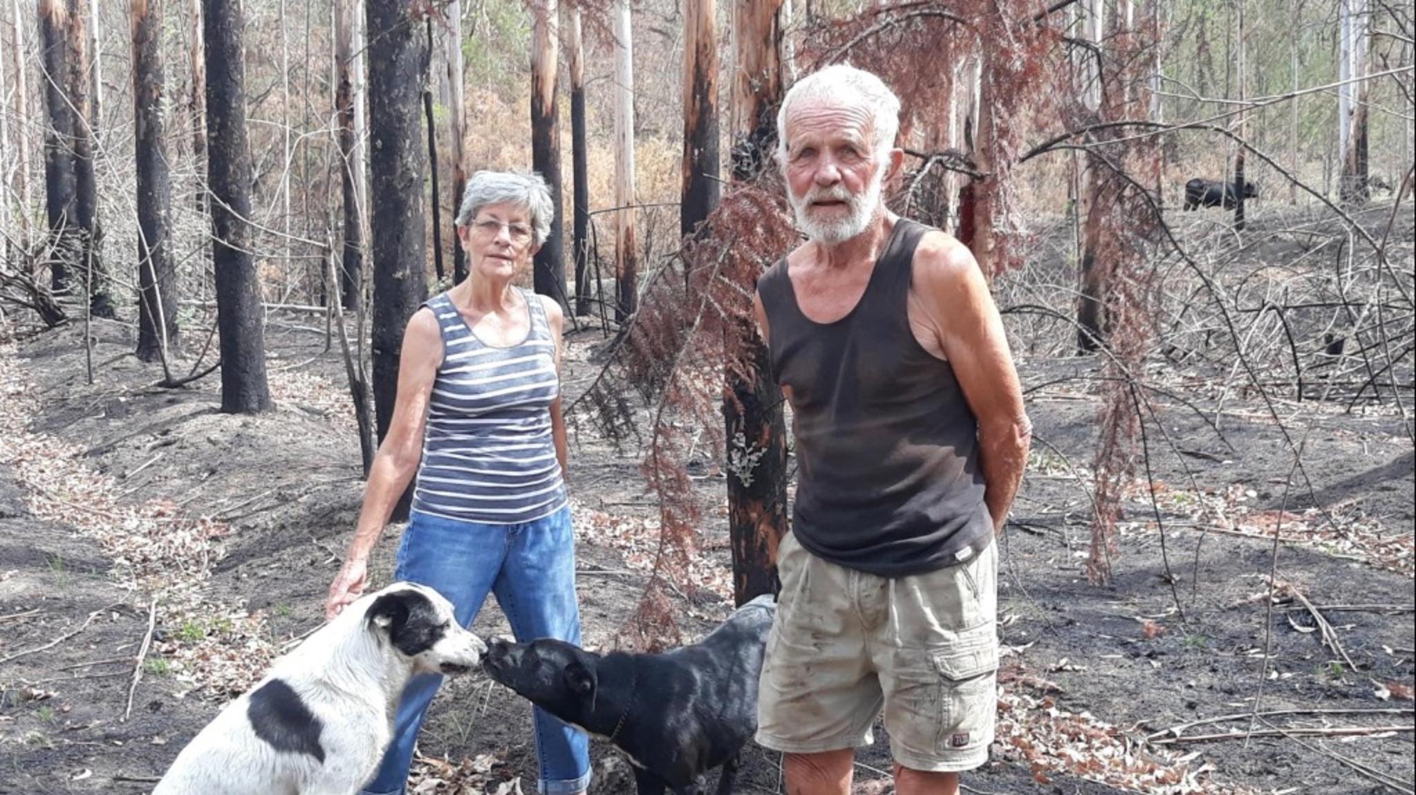 Ein Mann und eine Frau mit zwei Hunden, im Hintergrund abgebrannte Bäume.