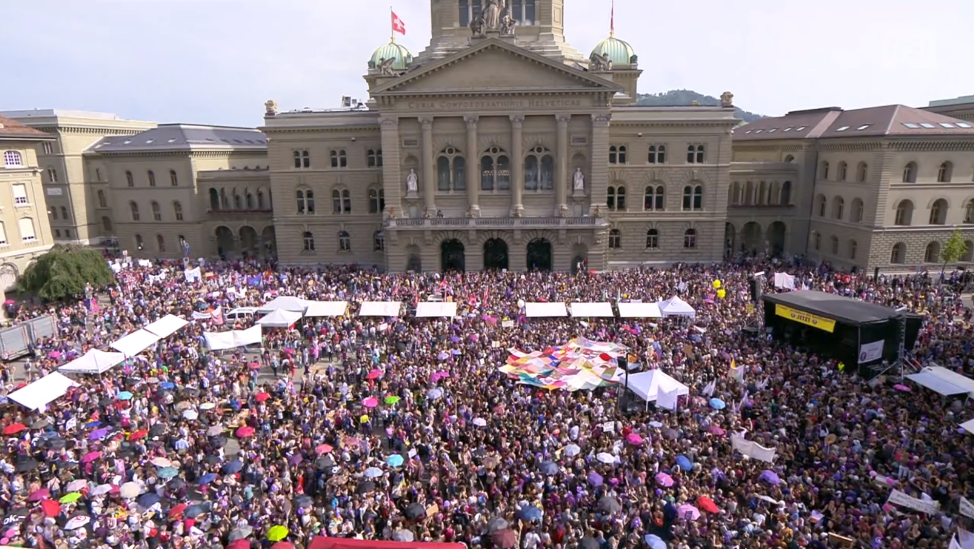 Vista semi-aerea di Palazzo e Piazza Federale colma di persone; prevalenza di abiti e accessori viola