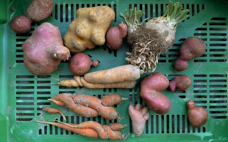 cajot de légumes