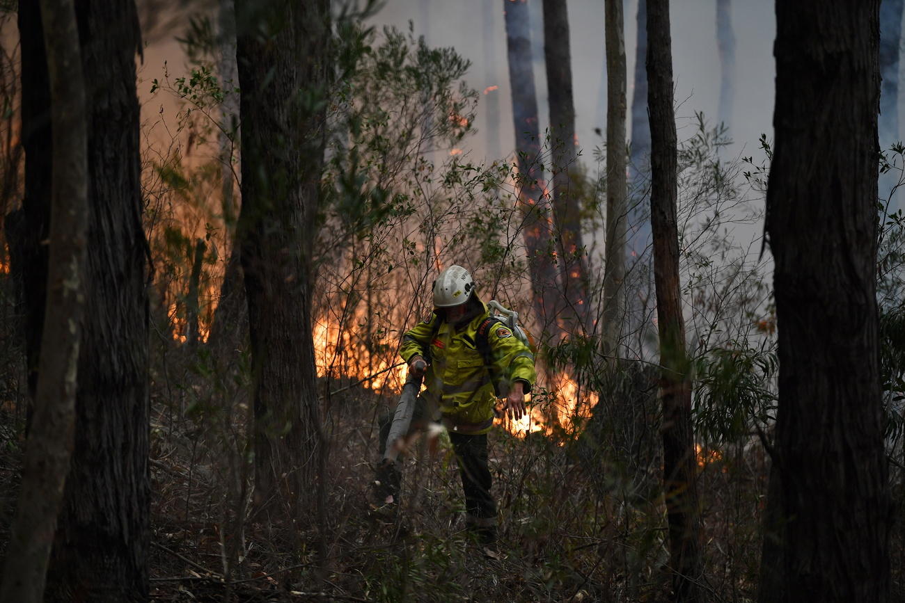 Australia fires