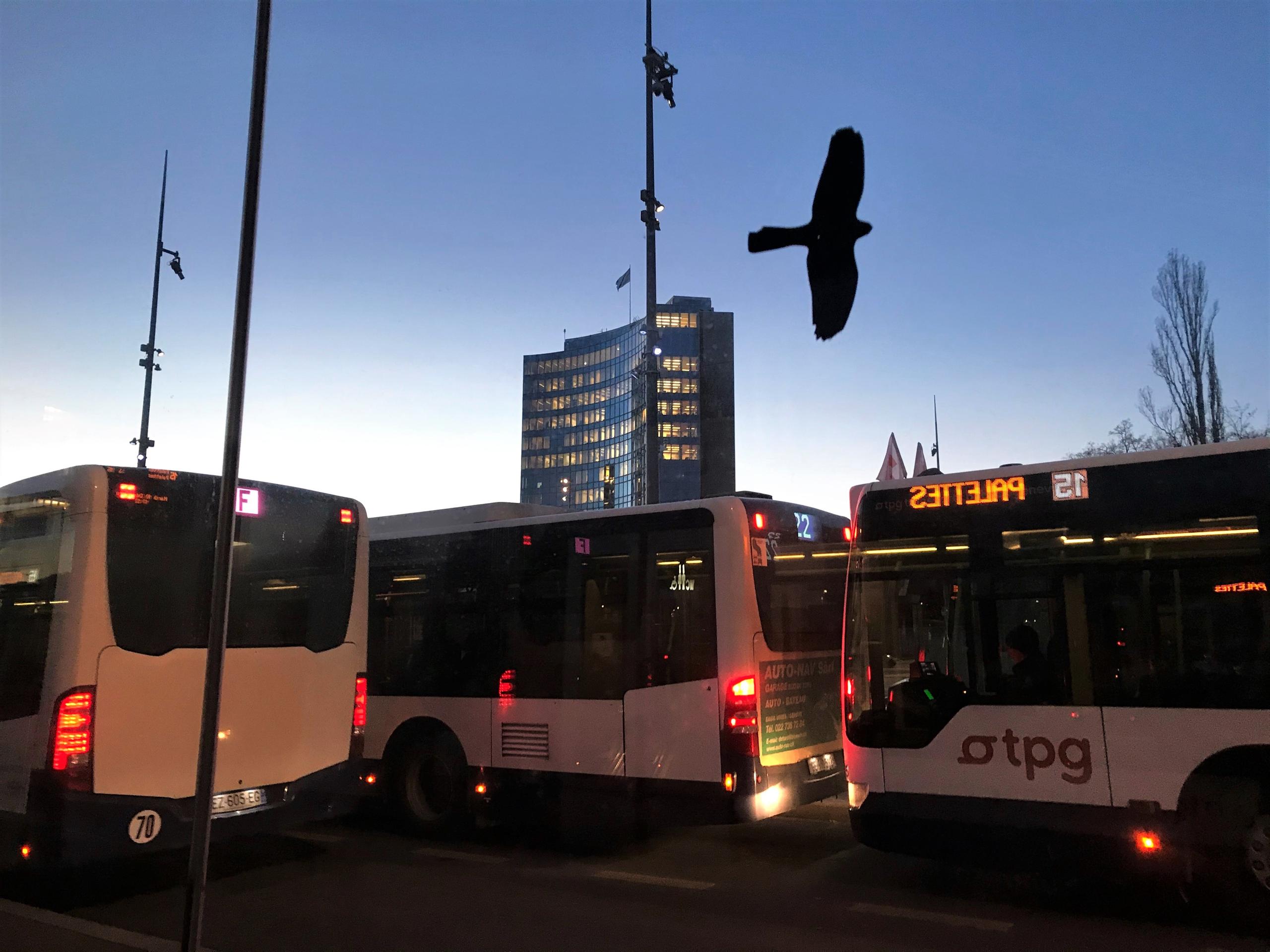 bus TPG