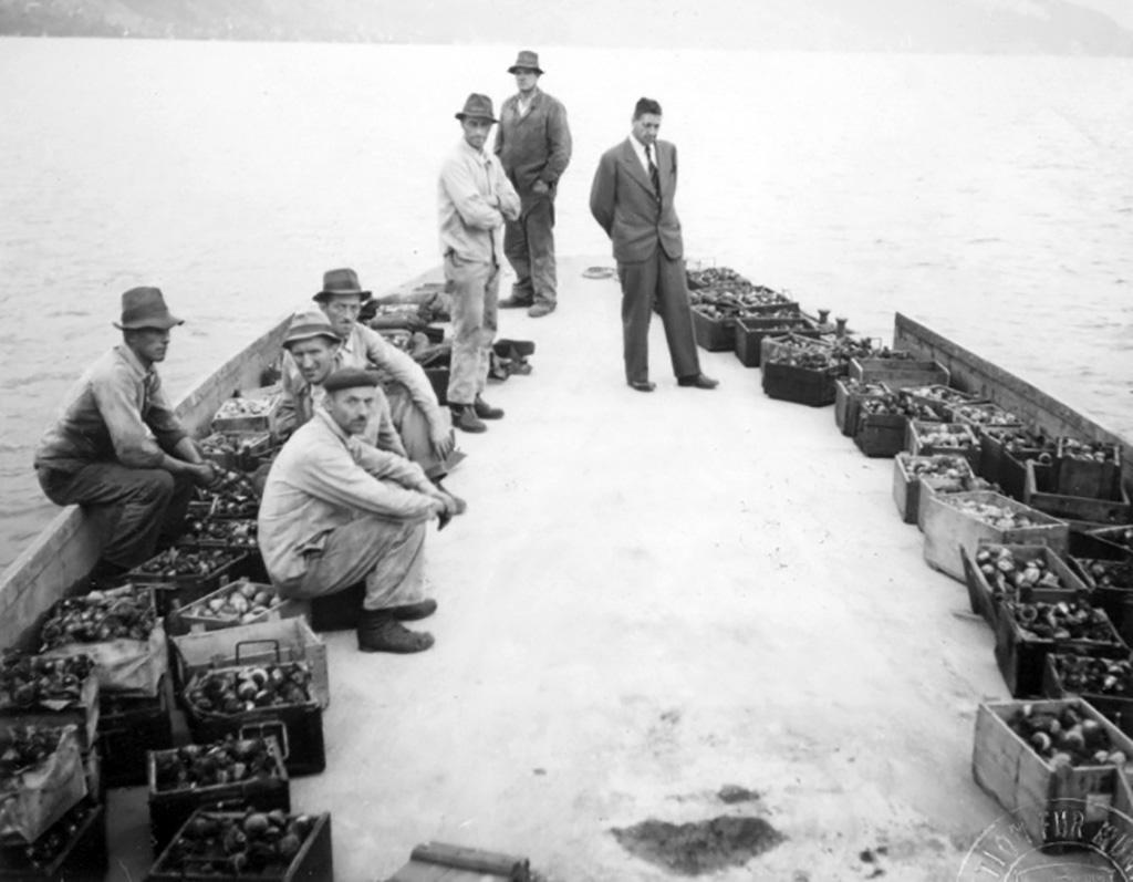Hombres a bordo de una barcaza con cajas de explosivos