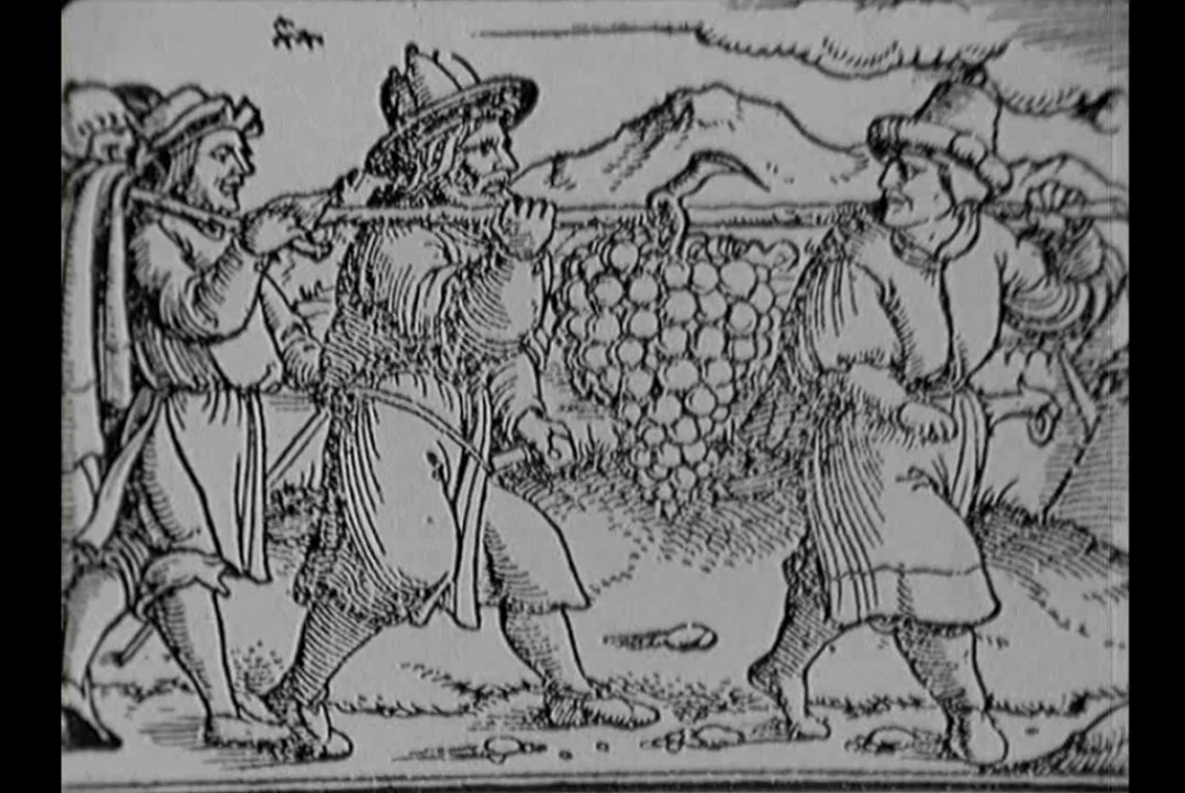 Immagine di tre uomini che trasportano un enorme grappolo d uva con l aiuto di una trave
