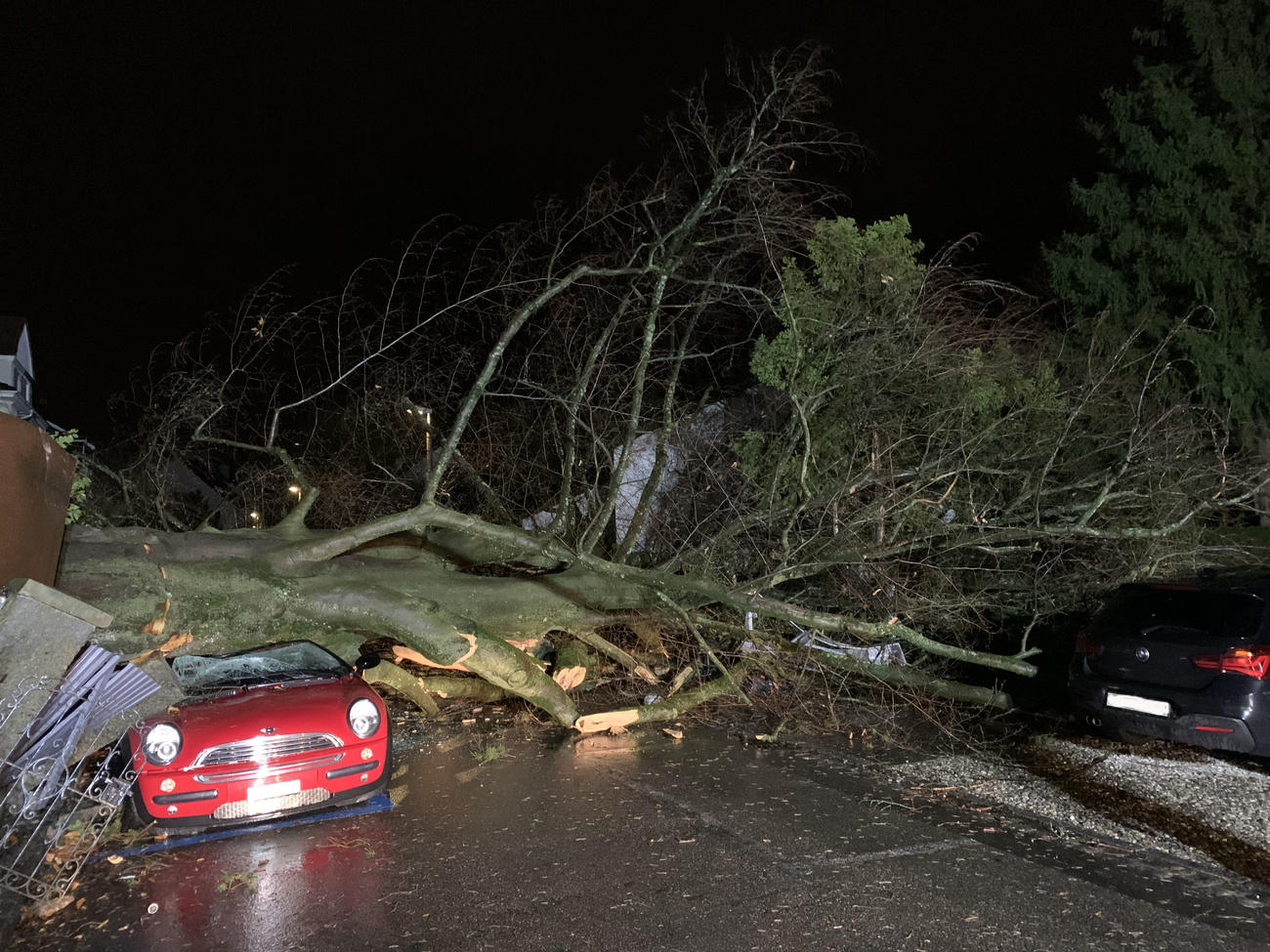 Un grosso albero finito su un auto a Riehen, nel Canton Basilea.