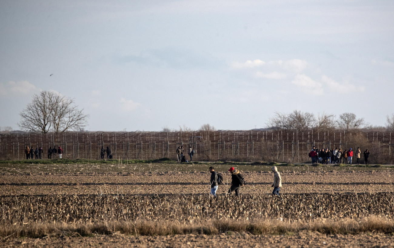 Campi coltivati; si vedono gruppi di persone che camminano e, in lontananza, una fitta rete metallica