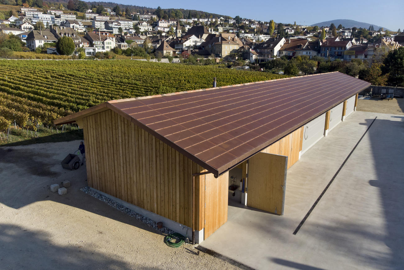 Un tetto coperto da pannelli fotovoltaici che sembrano però normali tegole.