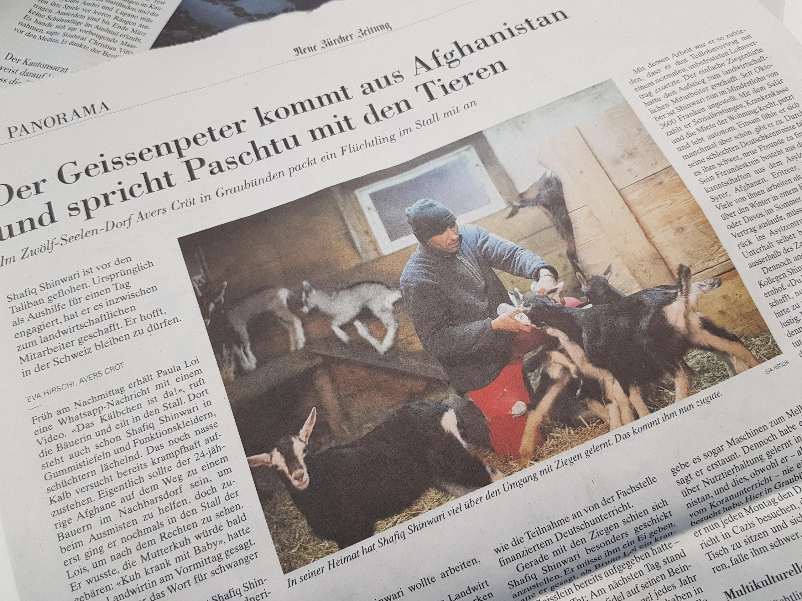 Ausschnitt NZZ