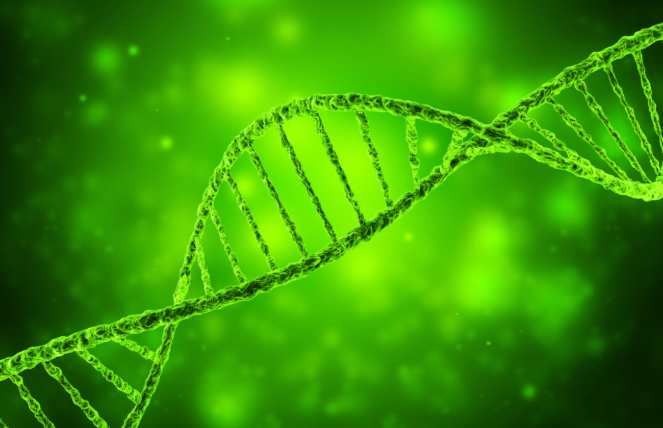 L elica del DNA in 3D