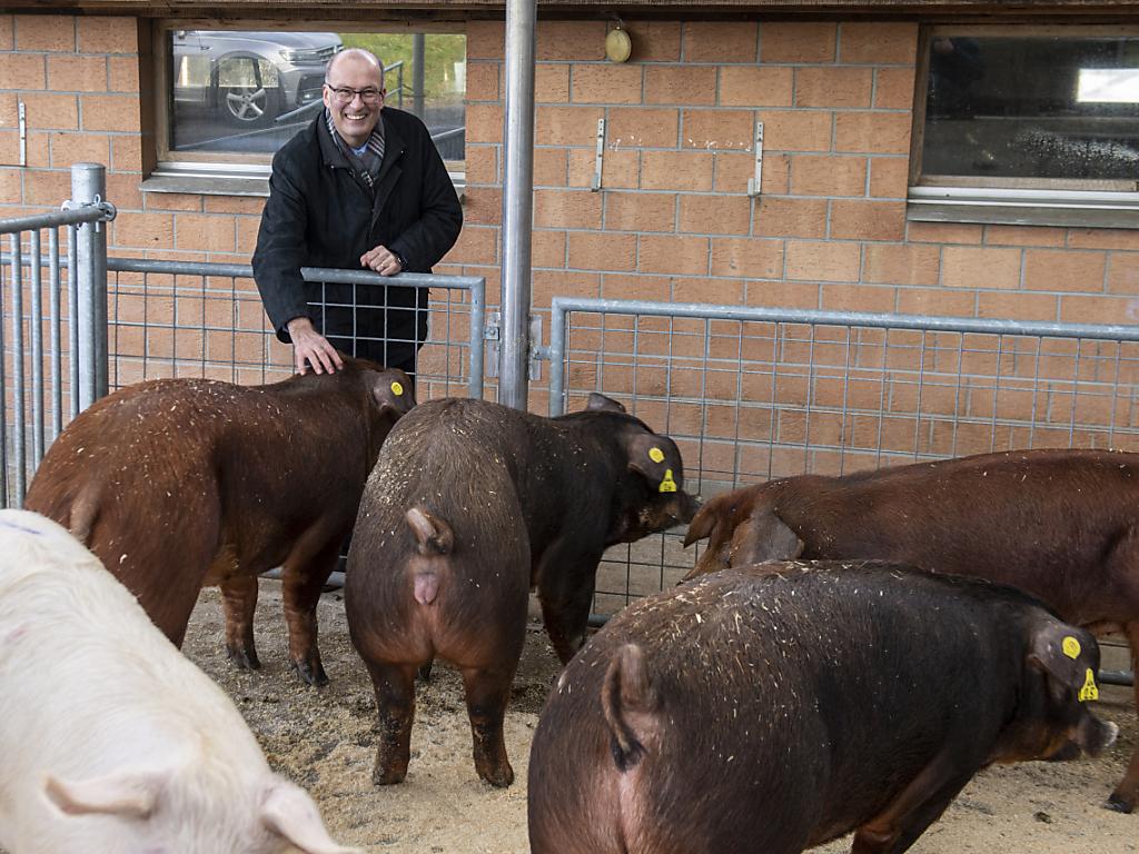Bauernverbandspräsident Ritter bringt Deal mit den Grünen ins Spiel ...