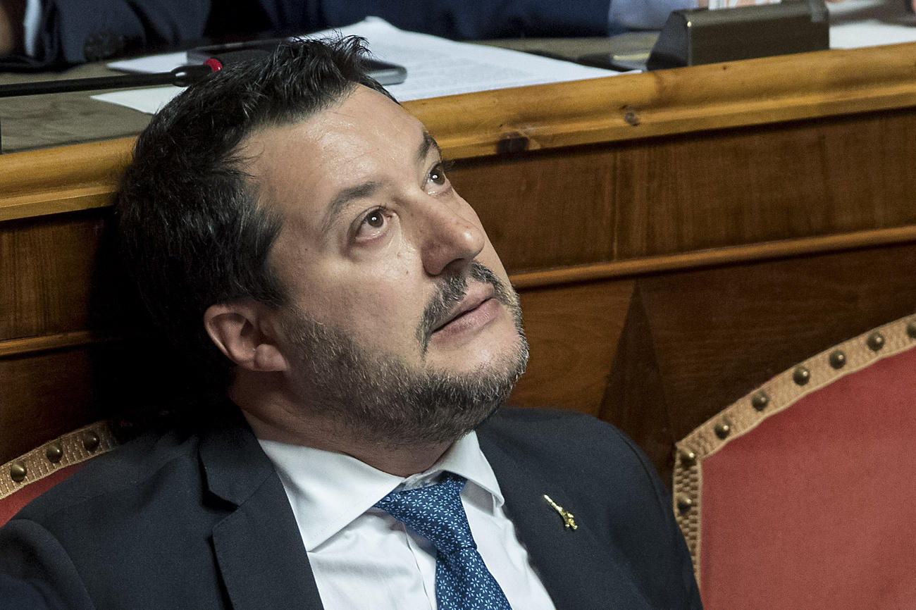 salvini