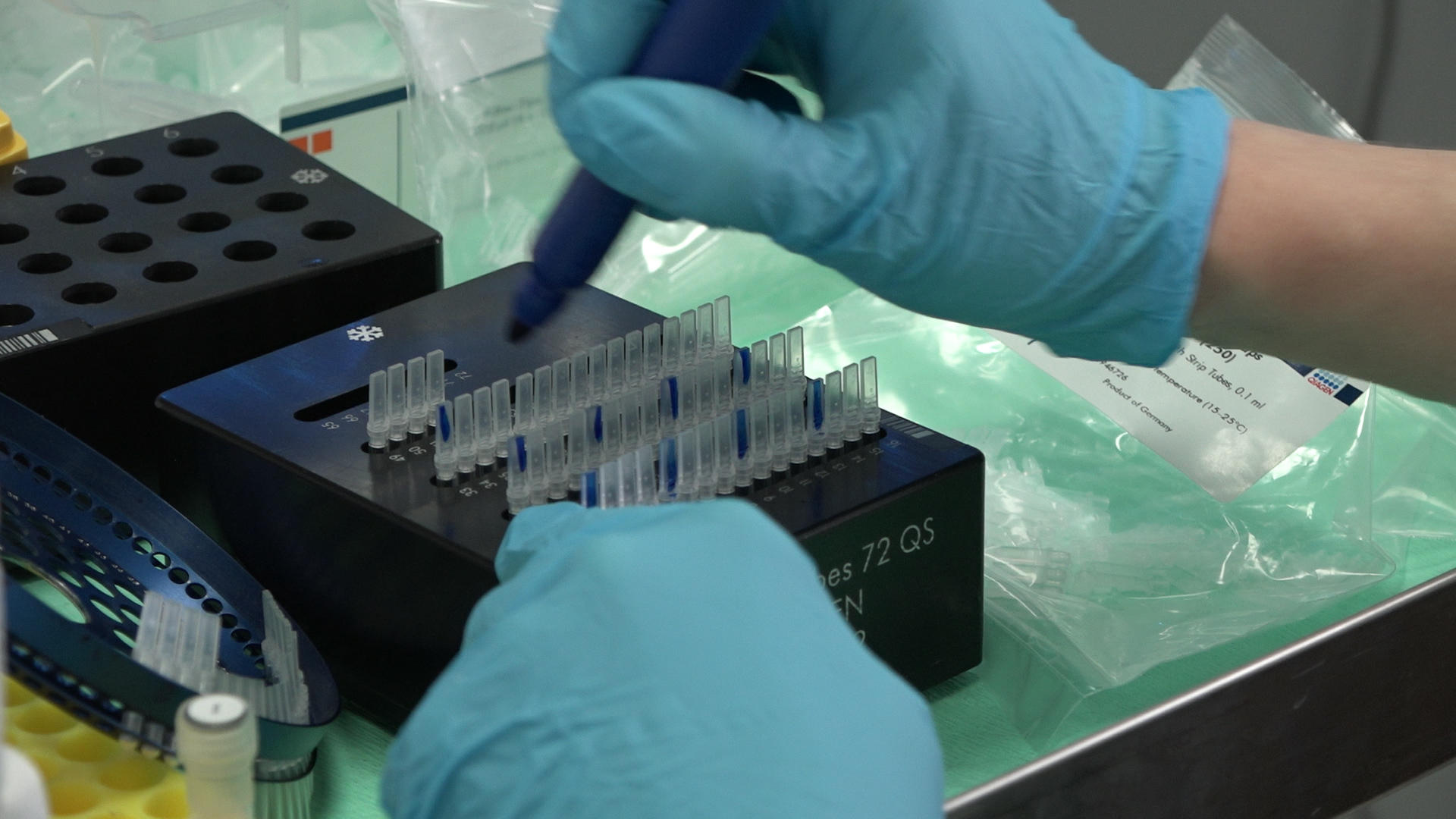 Le mani di una biologa alle prese con i test per trovare il coronavirus covid-19