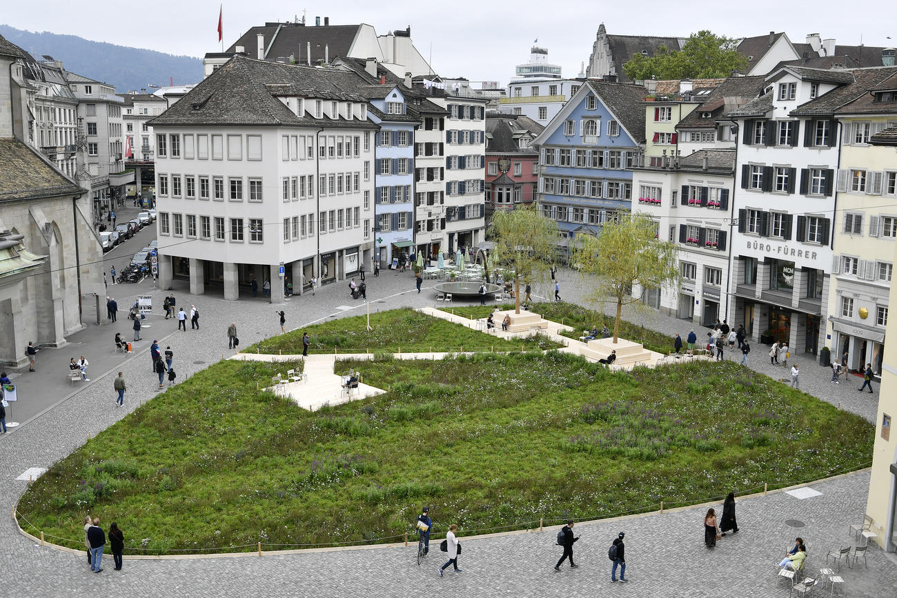 Bernese artist Heinrich Gartentor covered Münsterhof with a meadow