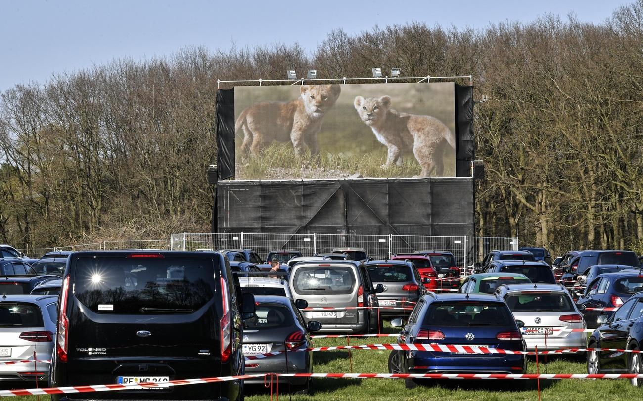 Cinema drive in