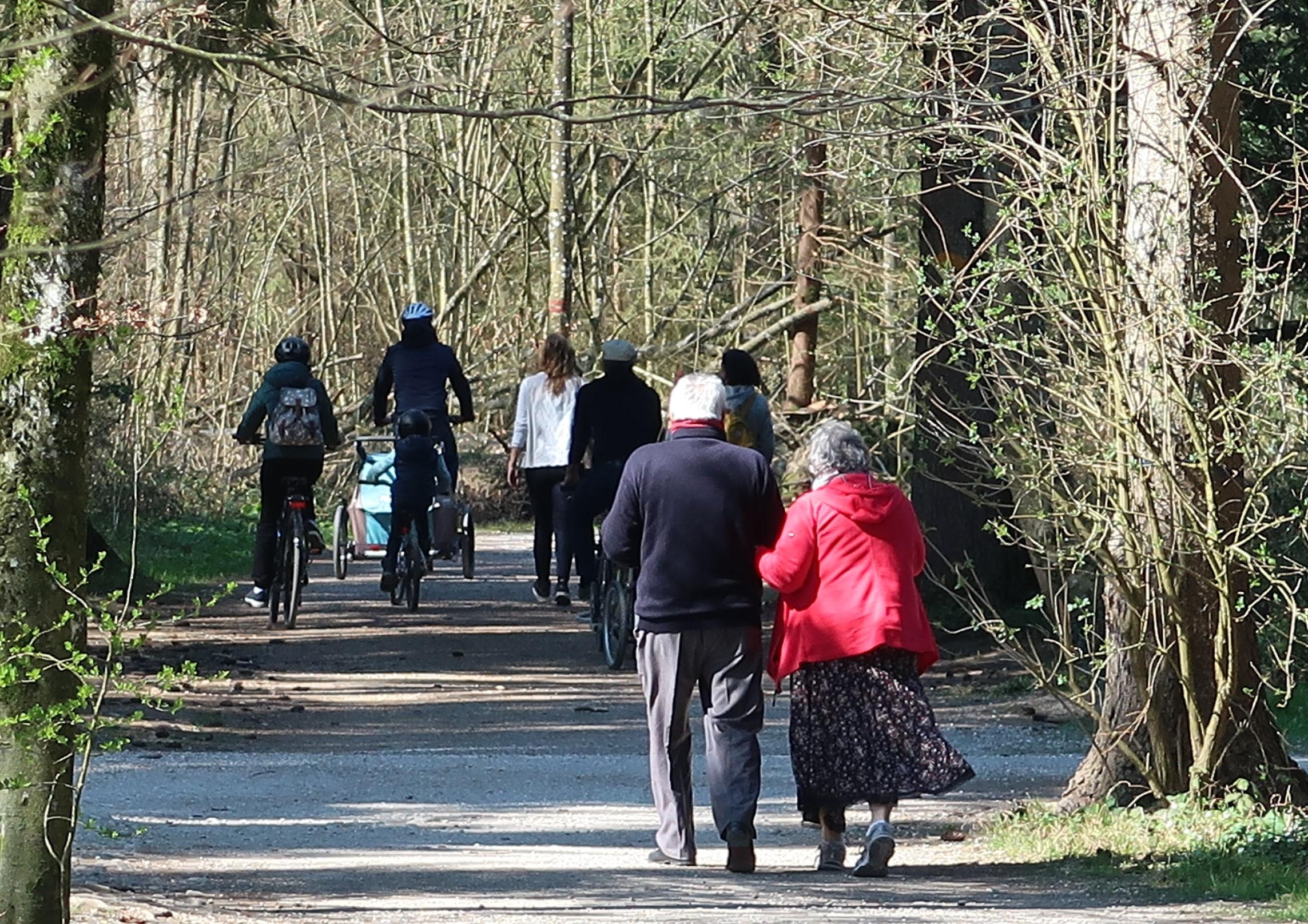 Leute im Wald