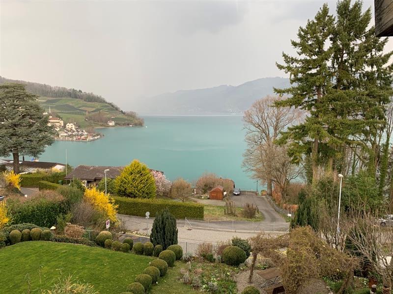 Sicht auf Garten und See