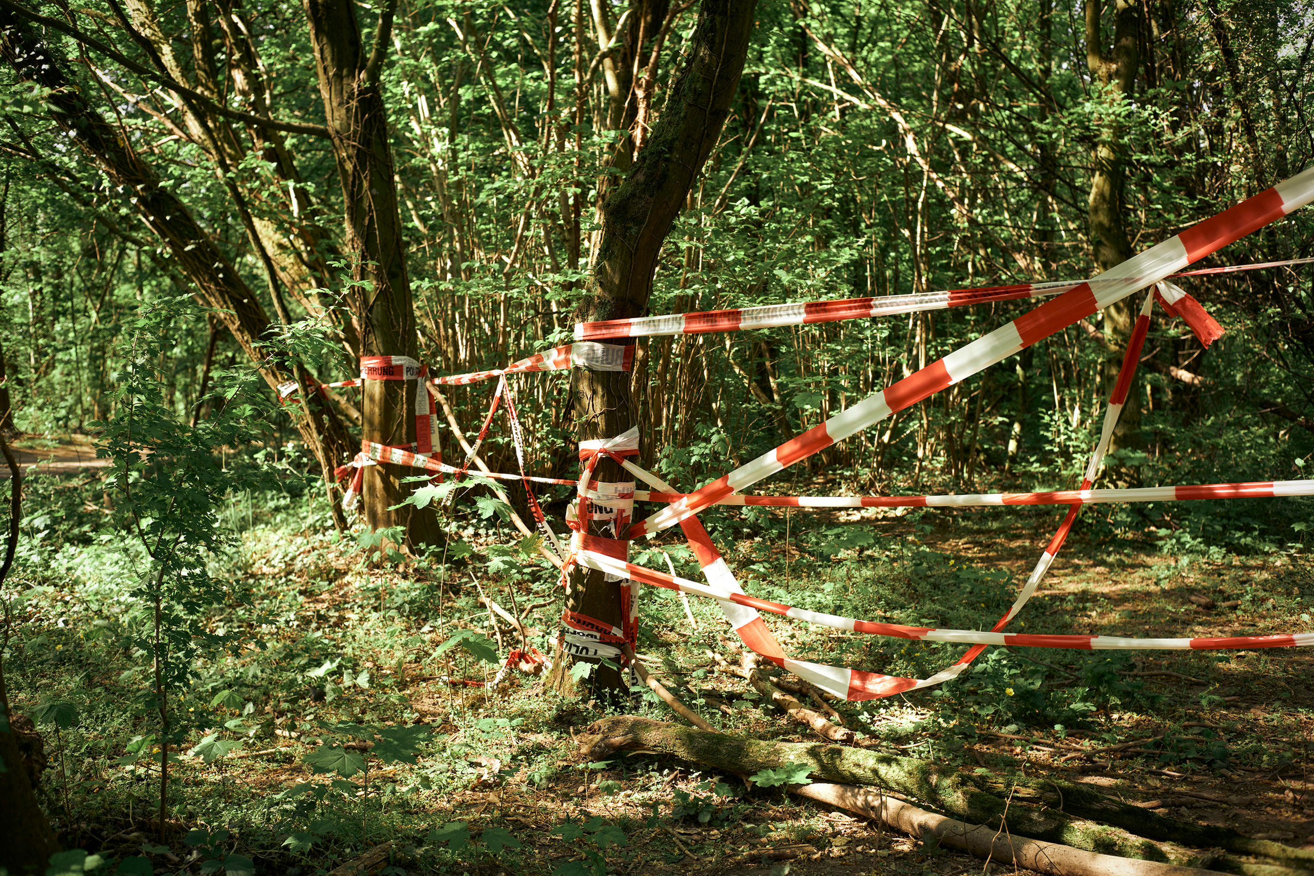 Lange Erlen