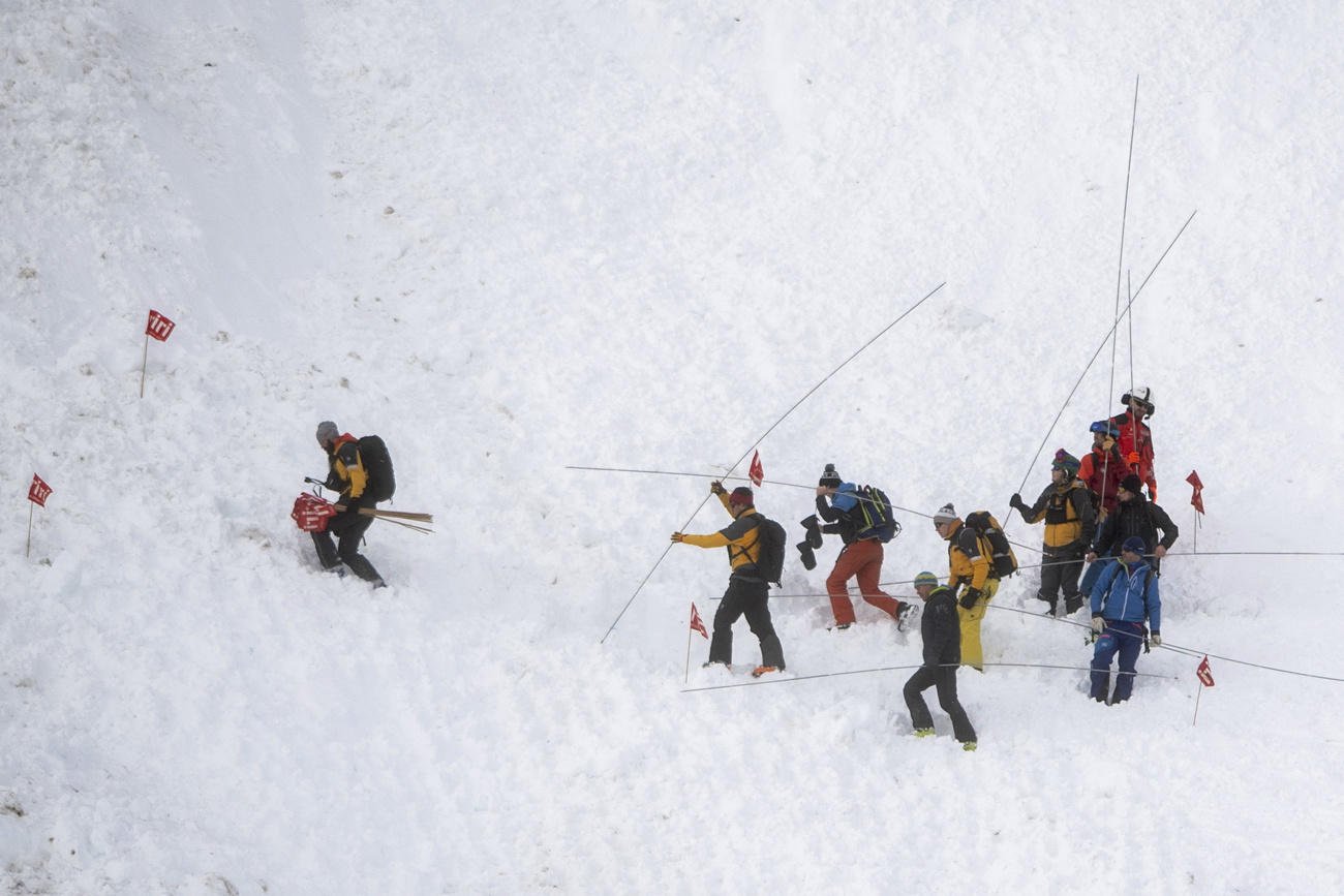 Rescuers search for avalanche survivors
