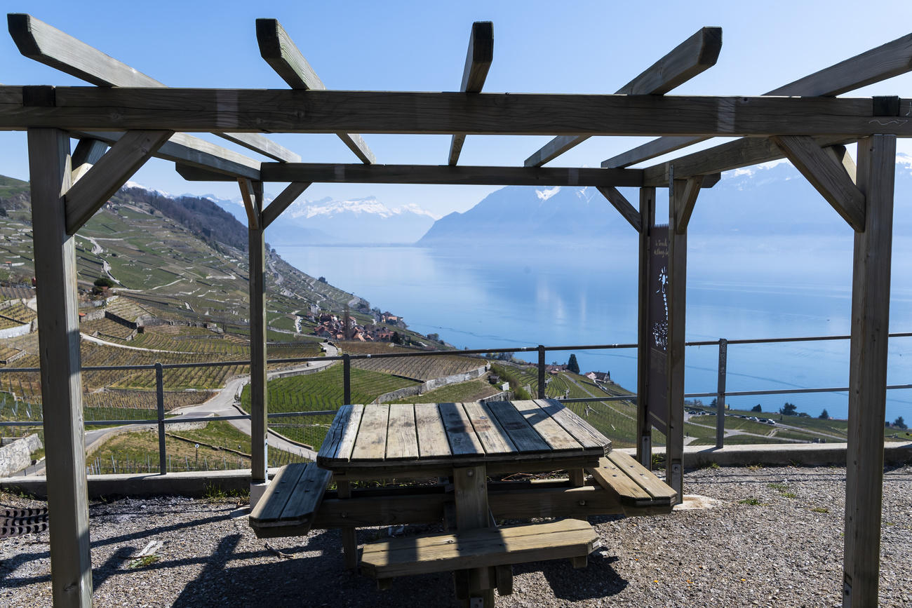 table et bancs devant paysage