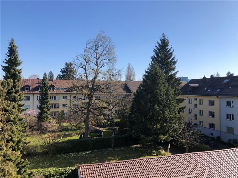 Blauer Himmel und Bäume