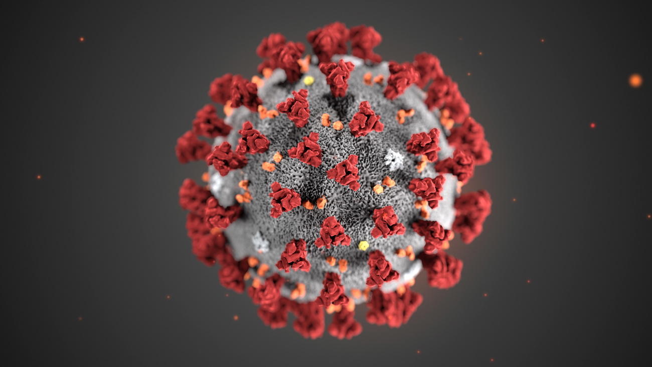 An undated handout photo of the virus