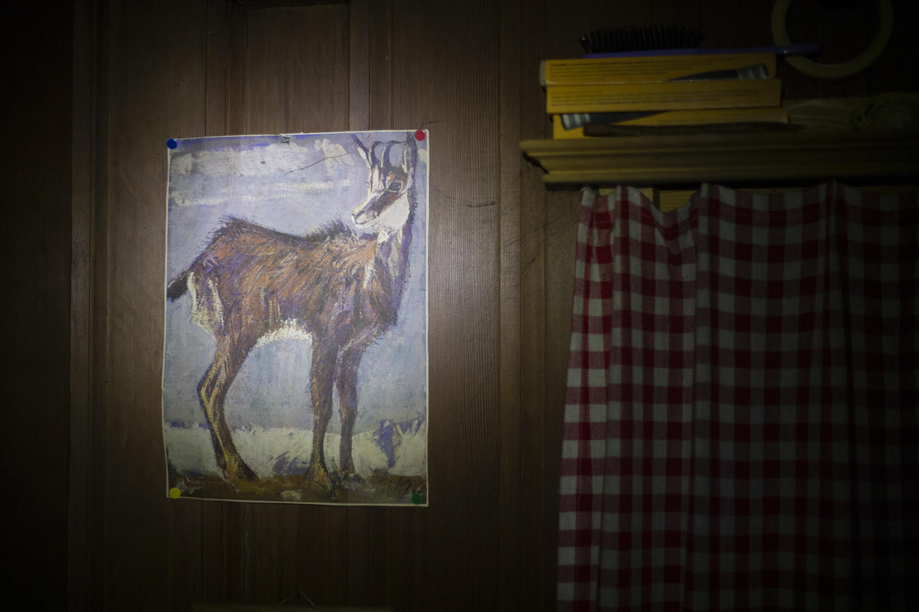 Interno di casetta in legno, con tendine a quadretti rossi e dipinto raffigurante un capo di selvaggina alla parete.