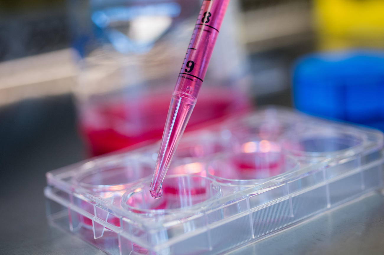 Una pipetta da laboratorio
