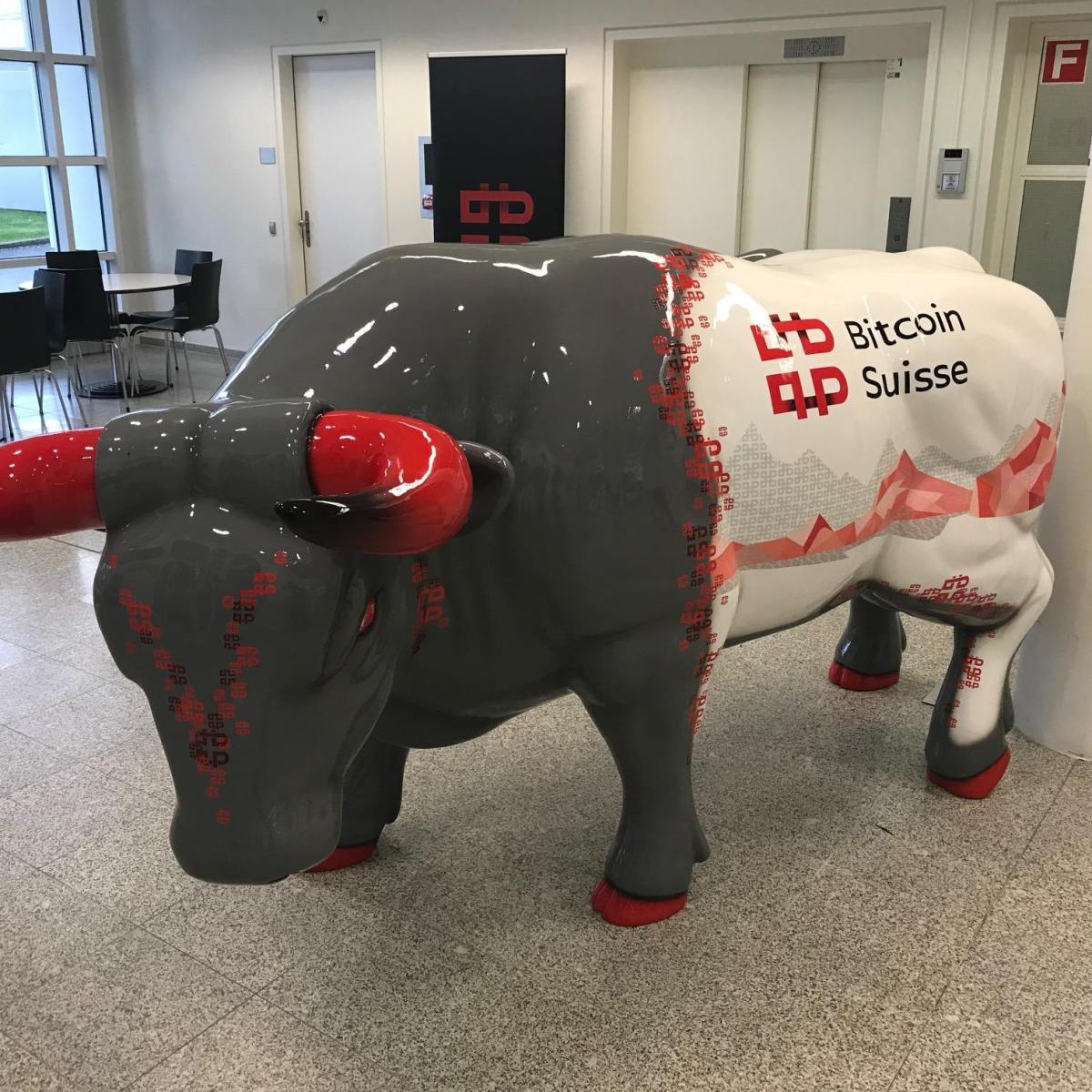 Bitcoin Suisse targets dual bank licences with fund raise - SWI swissinfo.ch